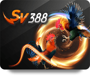 VSBET Review Chuyên Môn: Đánh Giá Toàn Diện Nền Tảng